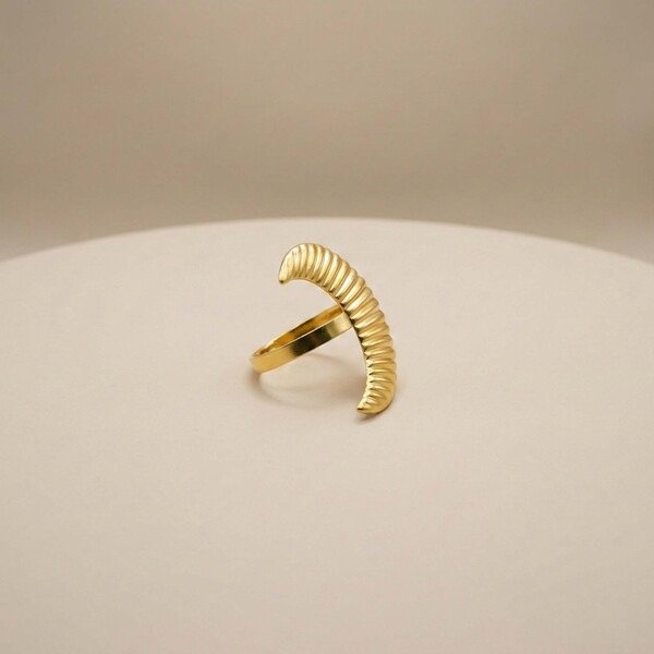 ⁦MOON SHAPE NAPKIN HOLDER-4.2X3.2⁩ - الصورة ⁦2⁩