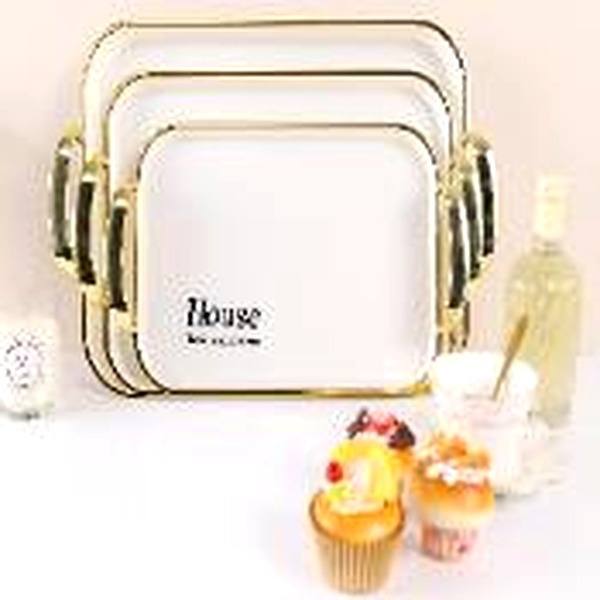 1704228027130 GOLD STAMPED RECT. PLASTIC TRAY W/HANDLE-42.5X27X3 - Image 1
