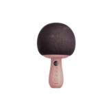 HANDHELD MICROPHONE W/SPEAKER