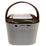 WIRELESS KARAOKE W/MIC SPEAKER-Y1