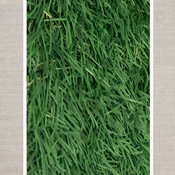 GRASS CARPET 2X25 MTR