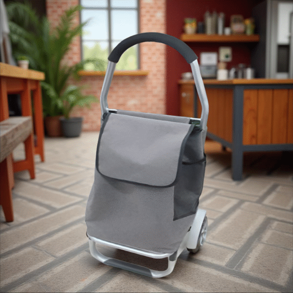 FOLDING TROLLEY BAG