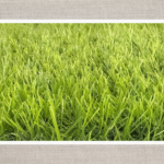 ARTIFICIAL GRASS CARPET -1X3M-GREEN-20MM-3X25MTR