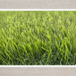 ARTIFICAL GRASS CARPET -1X3M-GREEN-30MM-3X25MTR