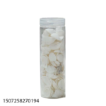 SHELL DECORATION-664219