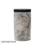 SEA SHELL W/PVC JAR-664714