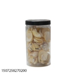SEA SHELL W/PVC JAR-664417