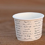 DISPOSABLE DOUBLE WALL PAPER CUP-4OZ 25PC/PKT