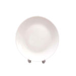 DINNER PLATE-10