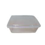 PLASTIC FOOD BOX