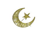 DECORATION MOON LED LIGHT-N-163930